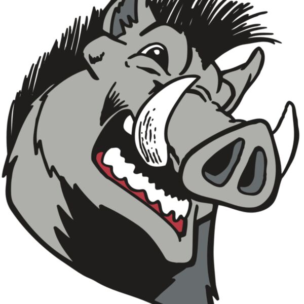 AR RAZORBACK 15 RC Thumbnail