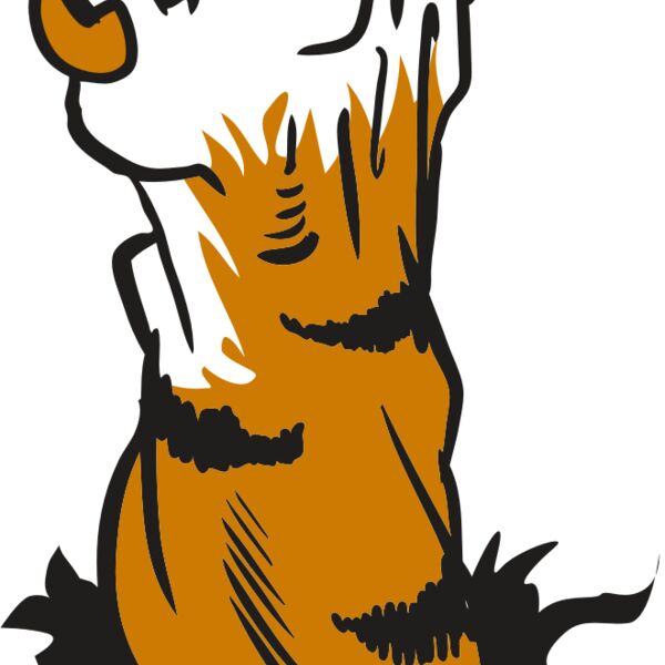 AR9 TIGER CLAW 01 RQC Thumbnail