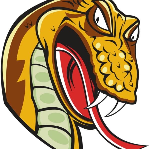 SNAKE HD0502 RQC Thumbnail